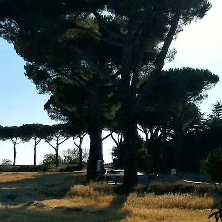 ゲストハウス Da Laura Silvi 3*