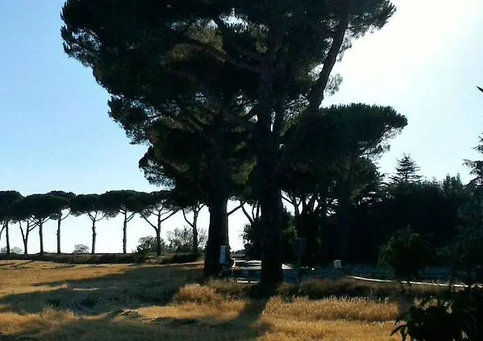 Penzion Da Laura Silvi 3*