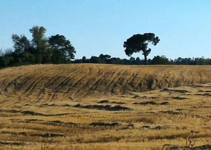 Penzion Da Laura Silvi Orvieto